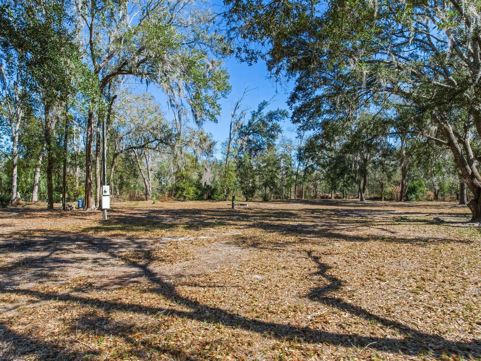 8602 Back Road Plant City FL 33565 TB8478550 image12