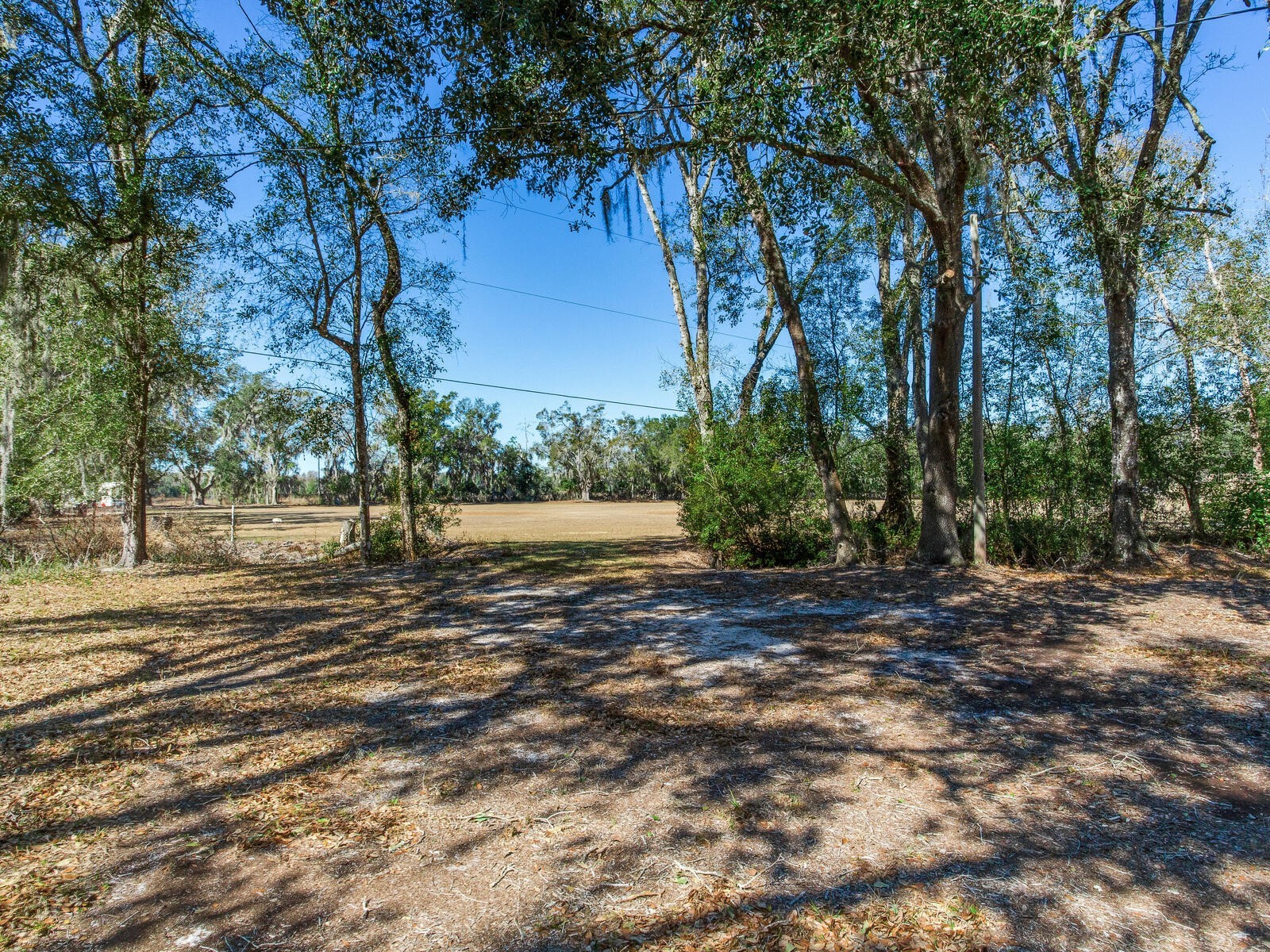 8602 Back Road Plant City FL 33565 TB8478550 image13