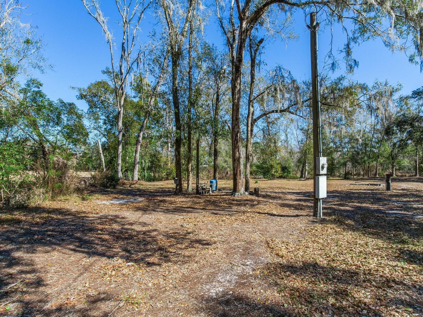 8602 Back Road Plant City FL 33565 TB8478550 image14