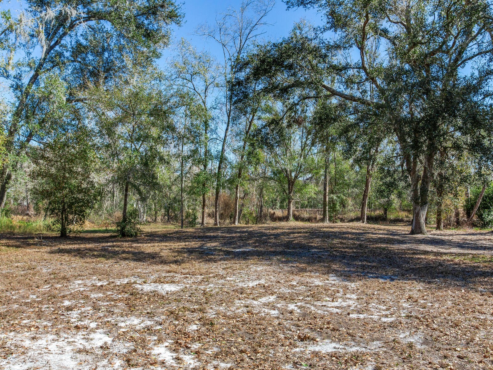 8602 Back Road Plant City FL 33565 TB8478550 image16