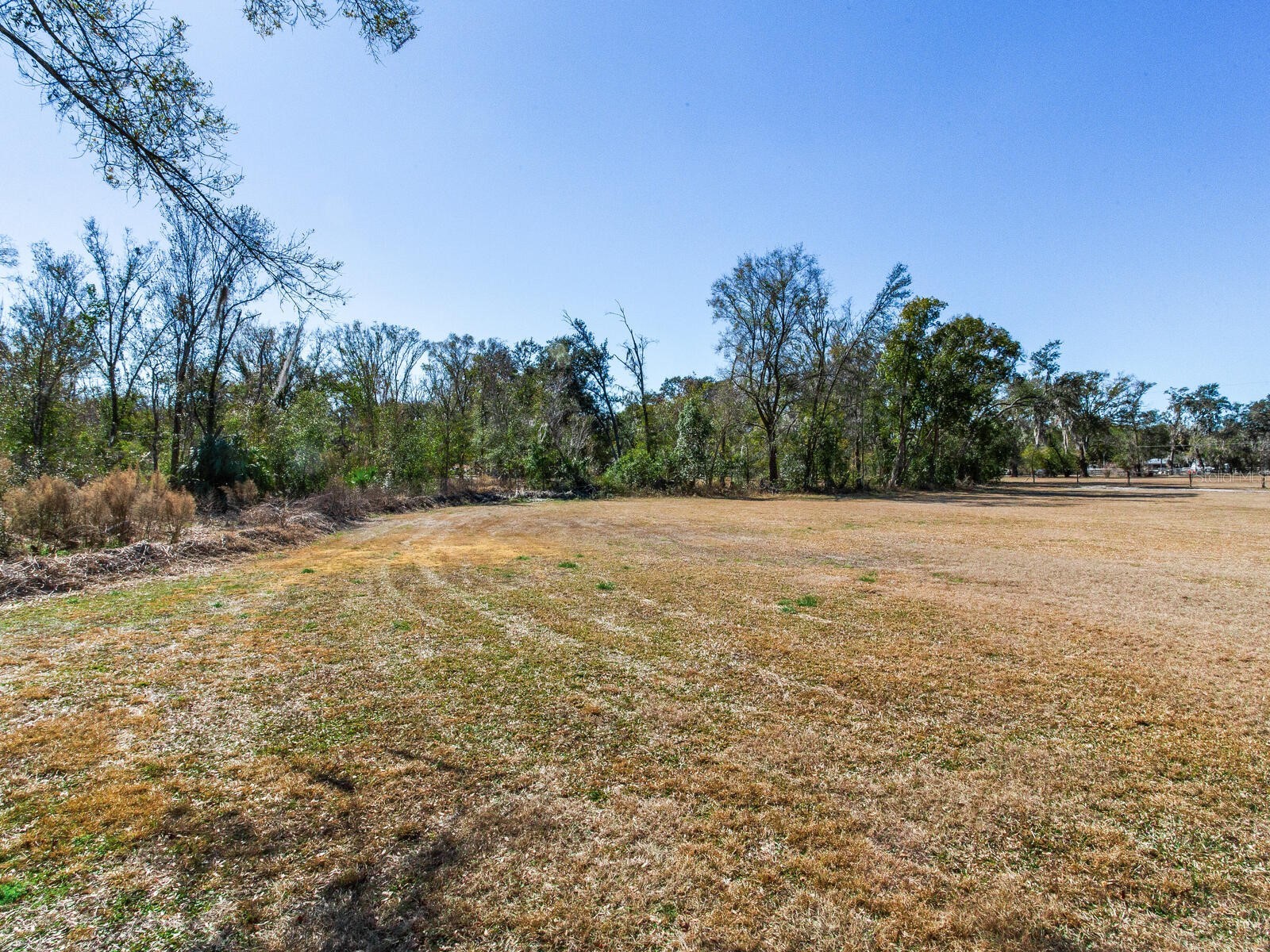 8602 Back Road Plant City FL 33565 TB8478550 image8