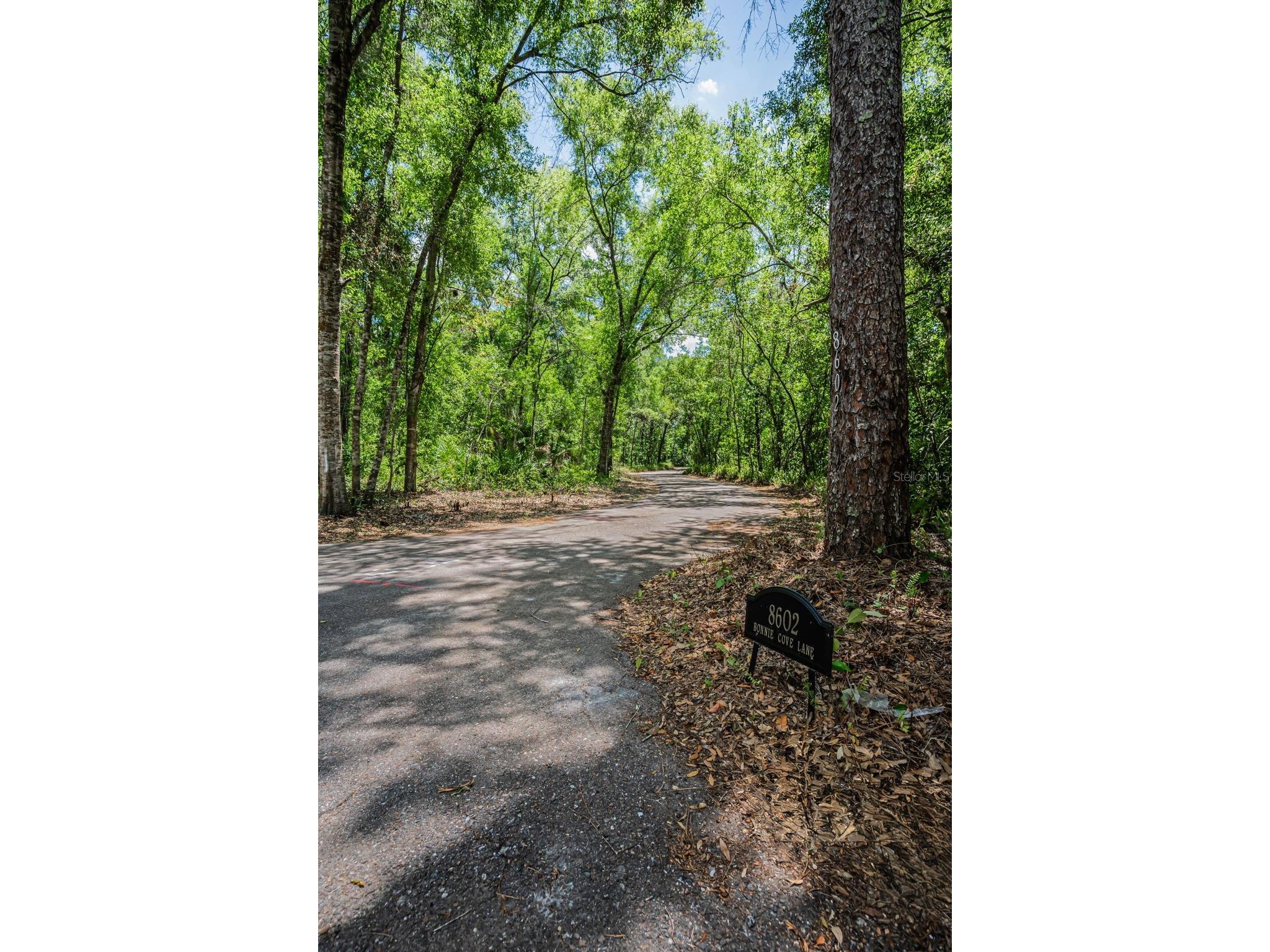 8602 Bonnie Cove Lane Odessa FL 33556 TB8503349 image2