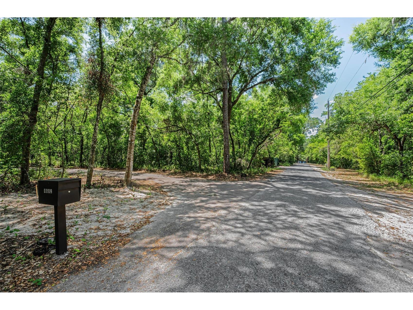 8602 Bonnie Cove Lane Odessa FL 33556 TB8503349 image3