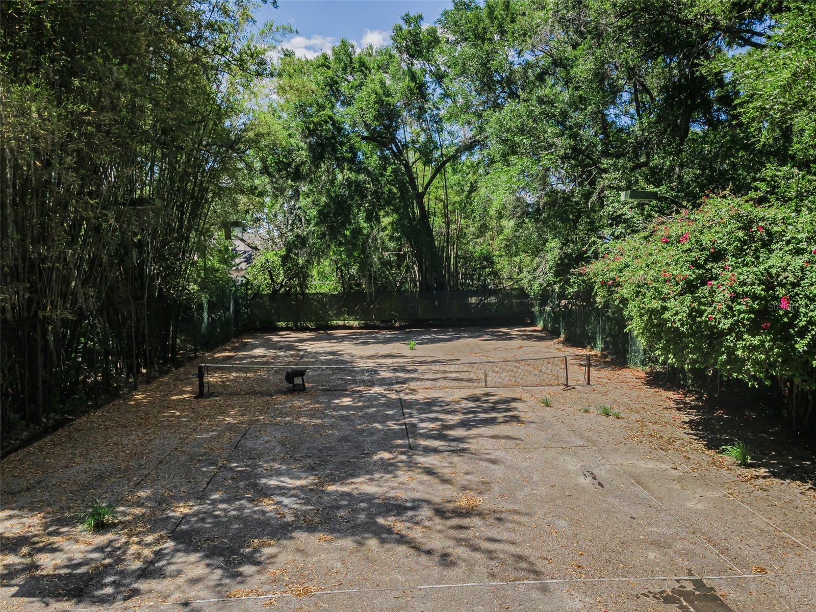 8602 Bonnie Cove Lane Odessa FL 33556 TB8503349 image42