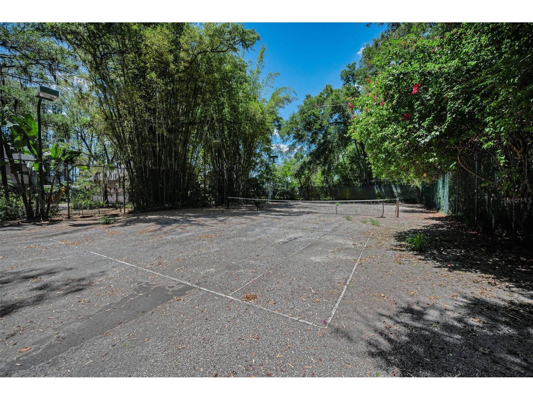 8602 Bonnie Cove Lane Odessa FL 33556 TB8503349 image43