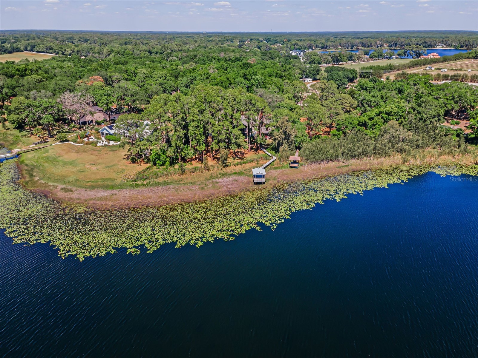 8602 Bonnie Cove Lane Odessa FL 33556 TB8503349 image48