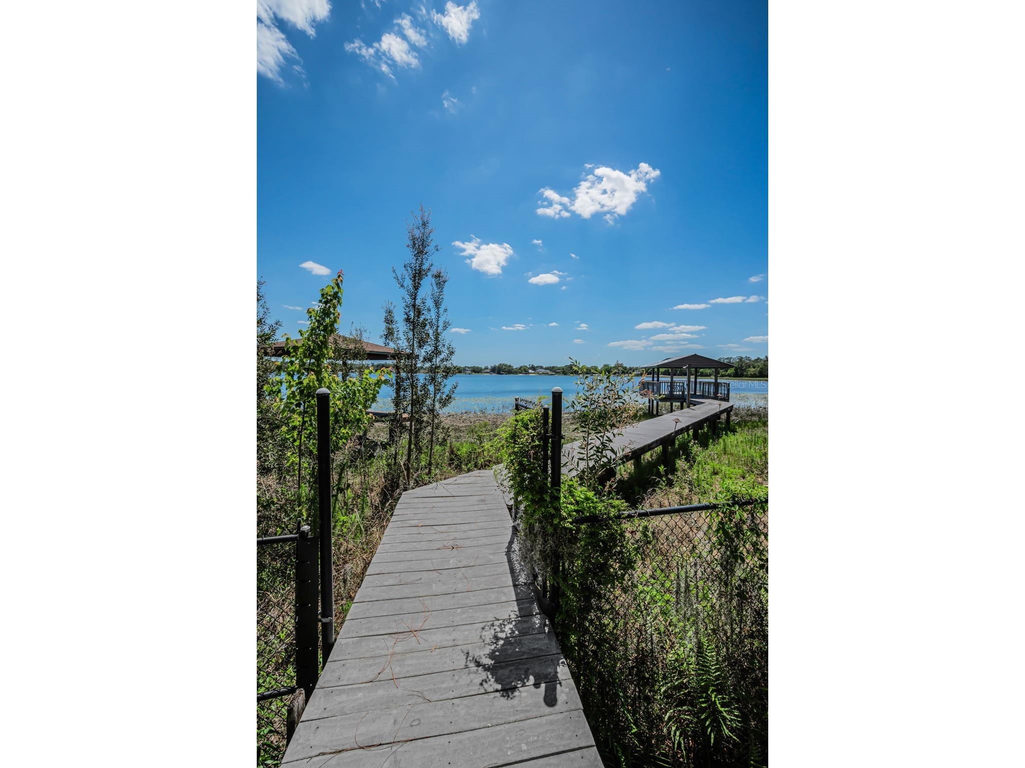 8602 Bonnie Cove Lane Odessa FL 33556 TB8503349 image53
