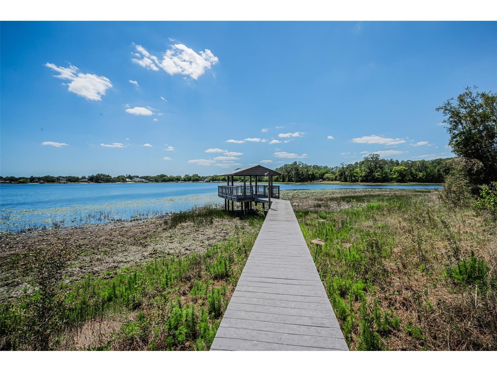 8602 Bonnie Cove Lane Odessa FL 33556 TB8503349 image54