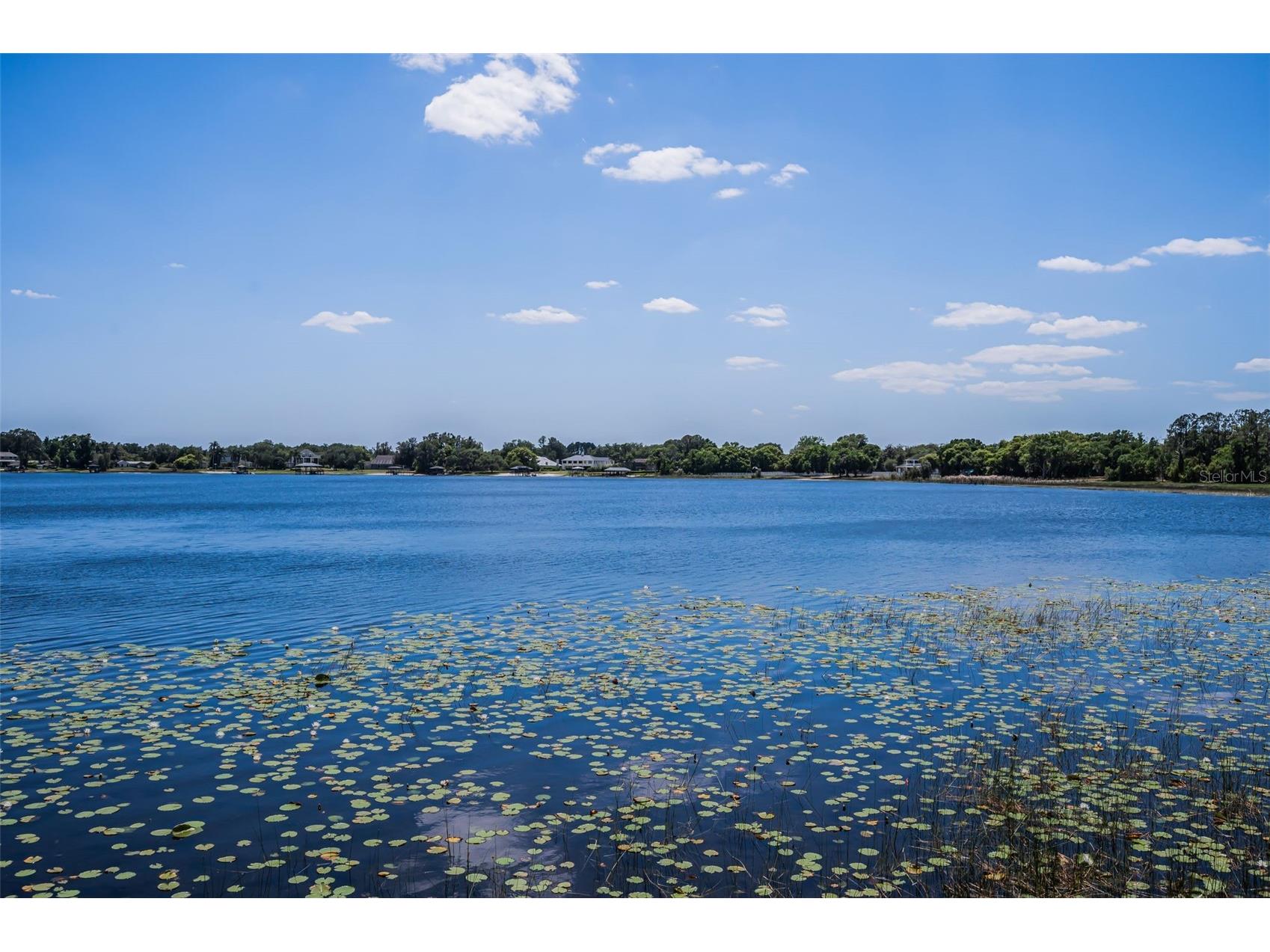 8602 Bonnie Cove Lane Odessa FL 33556 TB8503349 image58