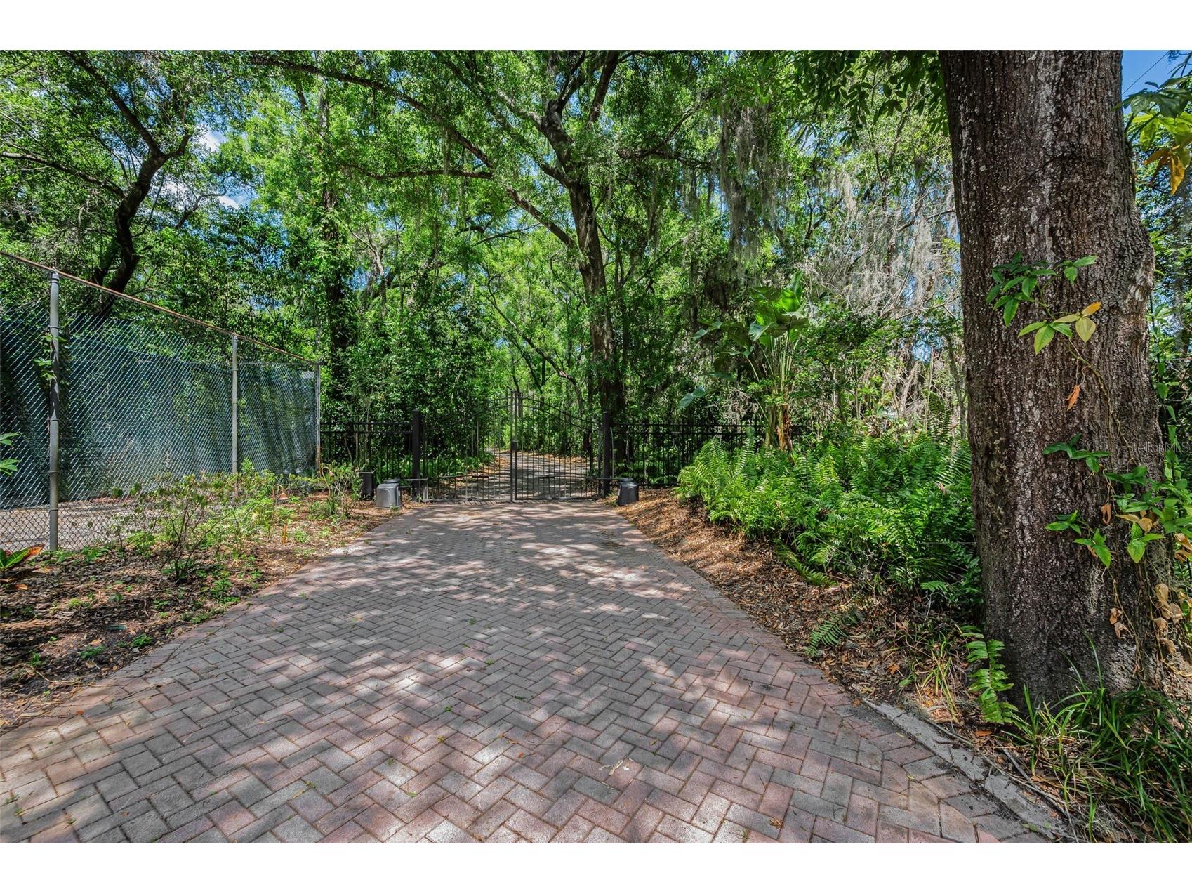 8602 Bonnie Cove Lane Odessa FL 33556 TB8503349 image7
