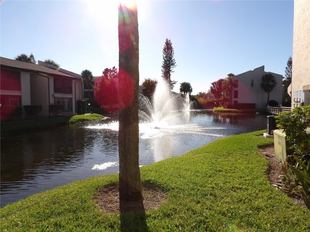 8602 Champlain #87 Tampa FL 33614 TB8437157 image23