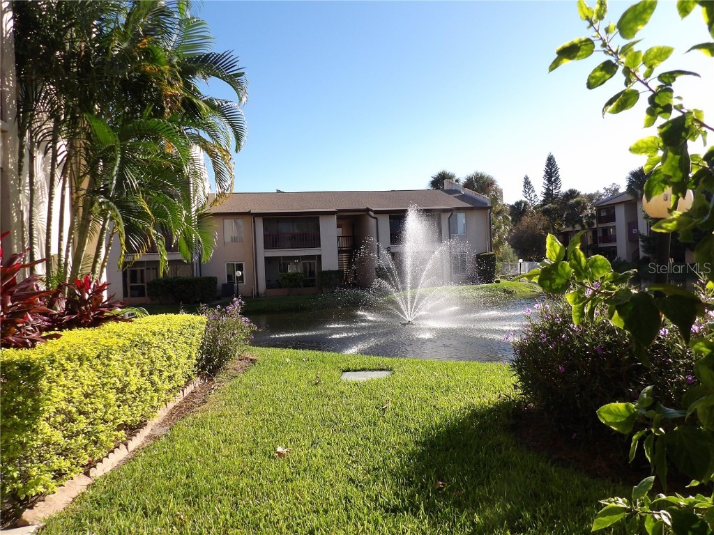 8602 Champlain #87 Tampa FL 33614 TB8437157 image24