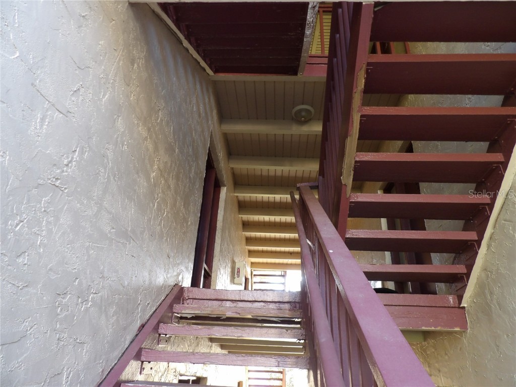 8602 Champlain #87 Tampa FL 33614 TB8437157 image6