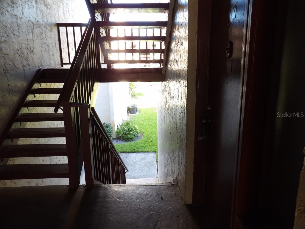 8602 Champlain #87 Tampa FL 33614 TB8437157 image7