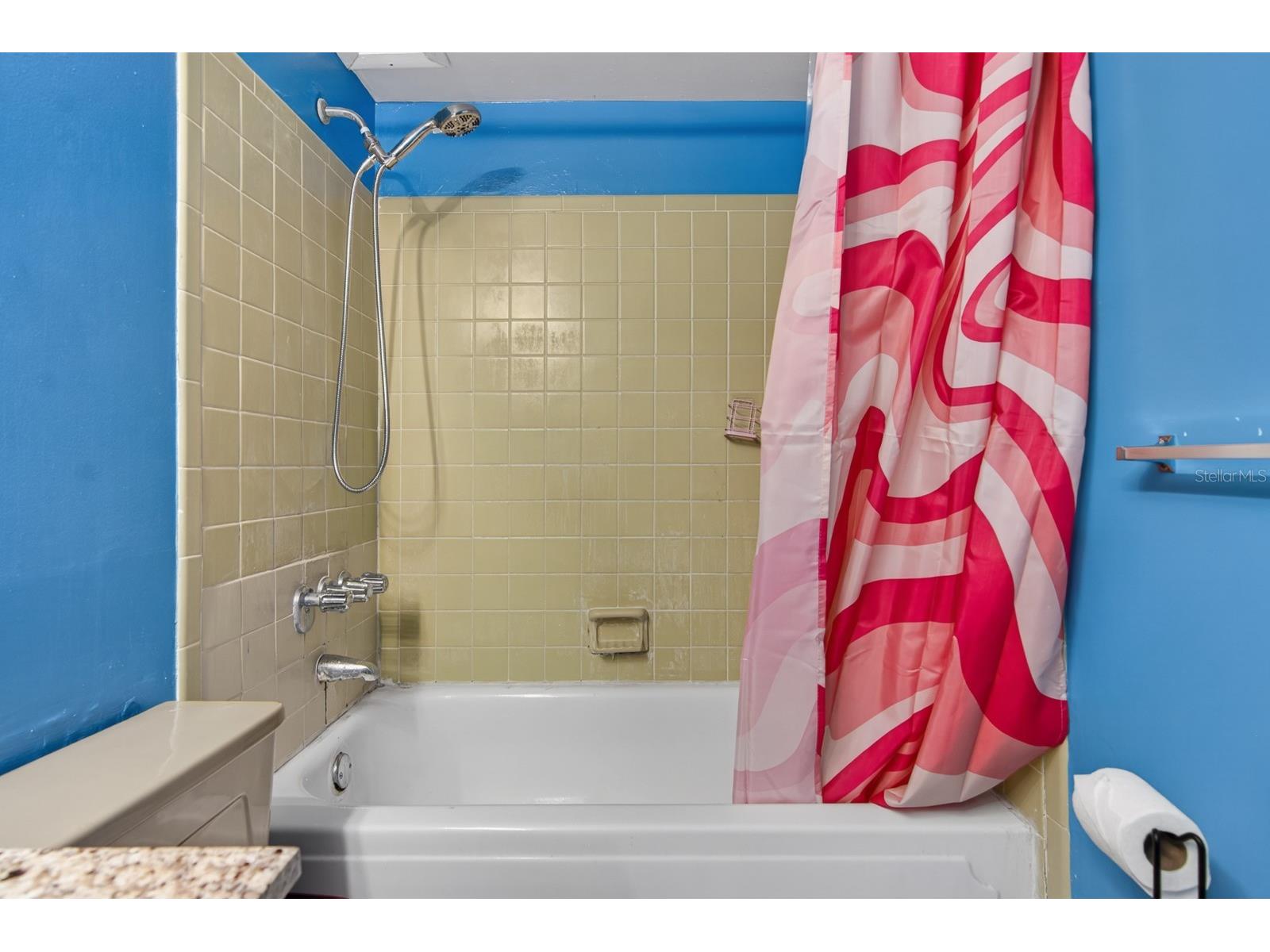 8602 Champlain Court #93 Tampa FL 33614 TB8509398 image25
