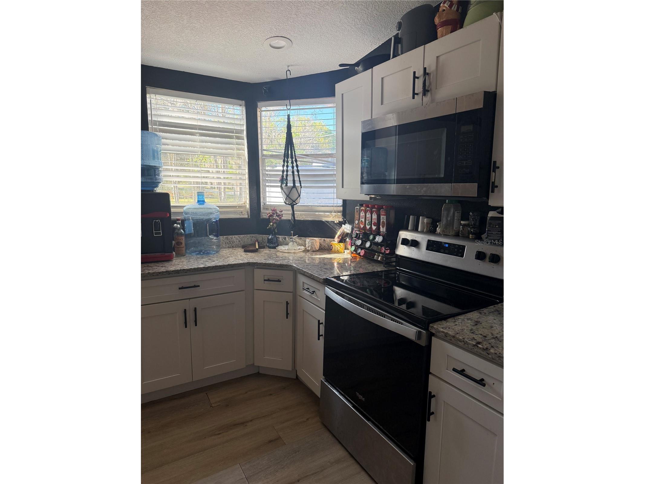 8602 Treasure Island Road Leesburg FL 34788 G5109756 image4