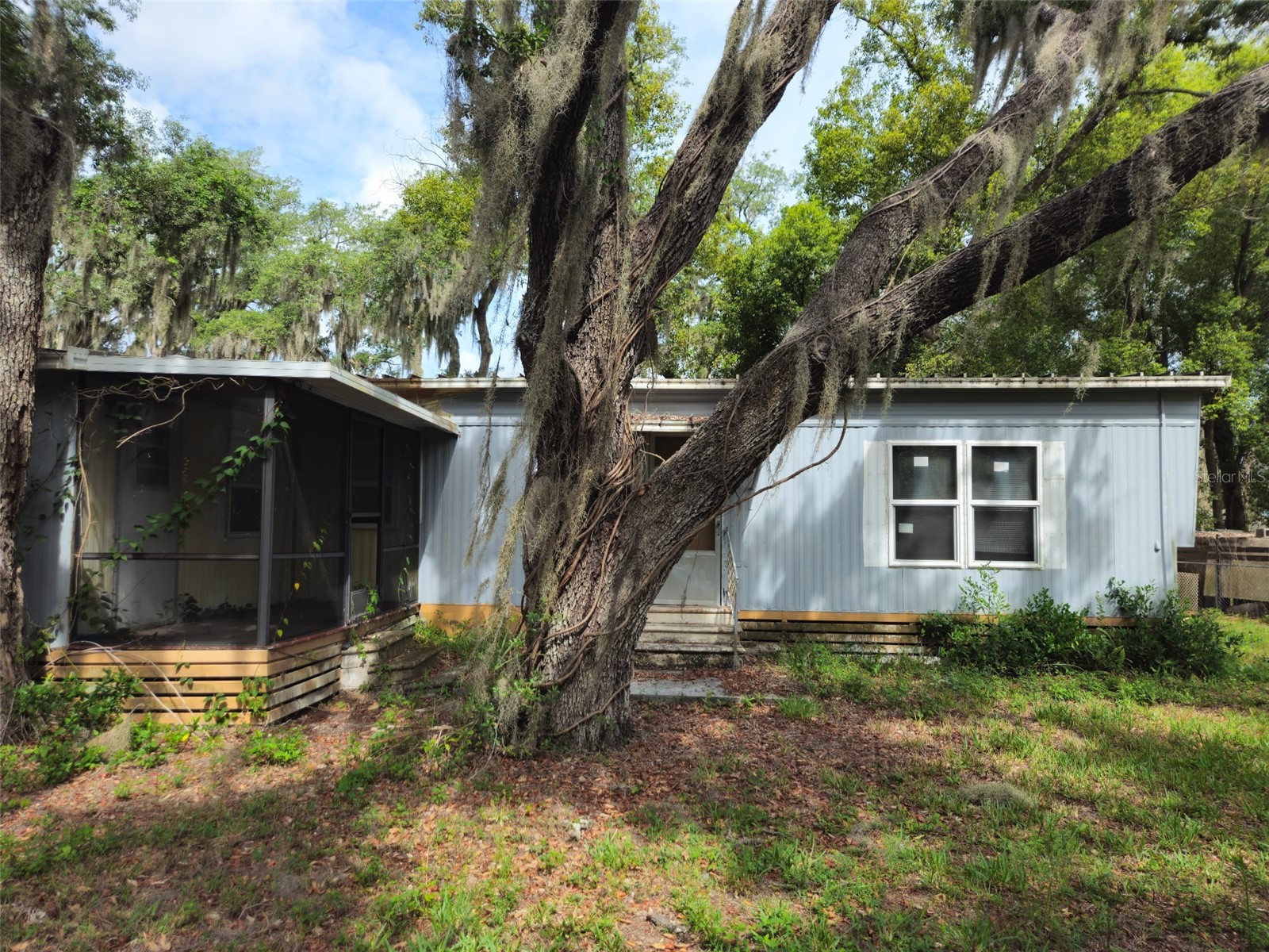8603 Alafia Ridge Road Riverview FL 33569 TB8511880 image5