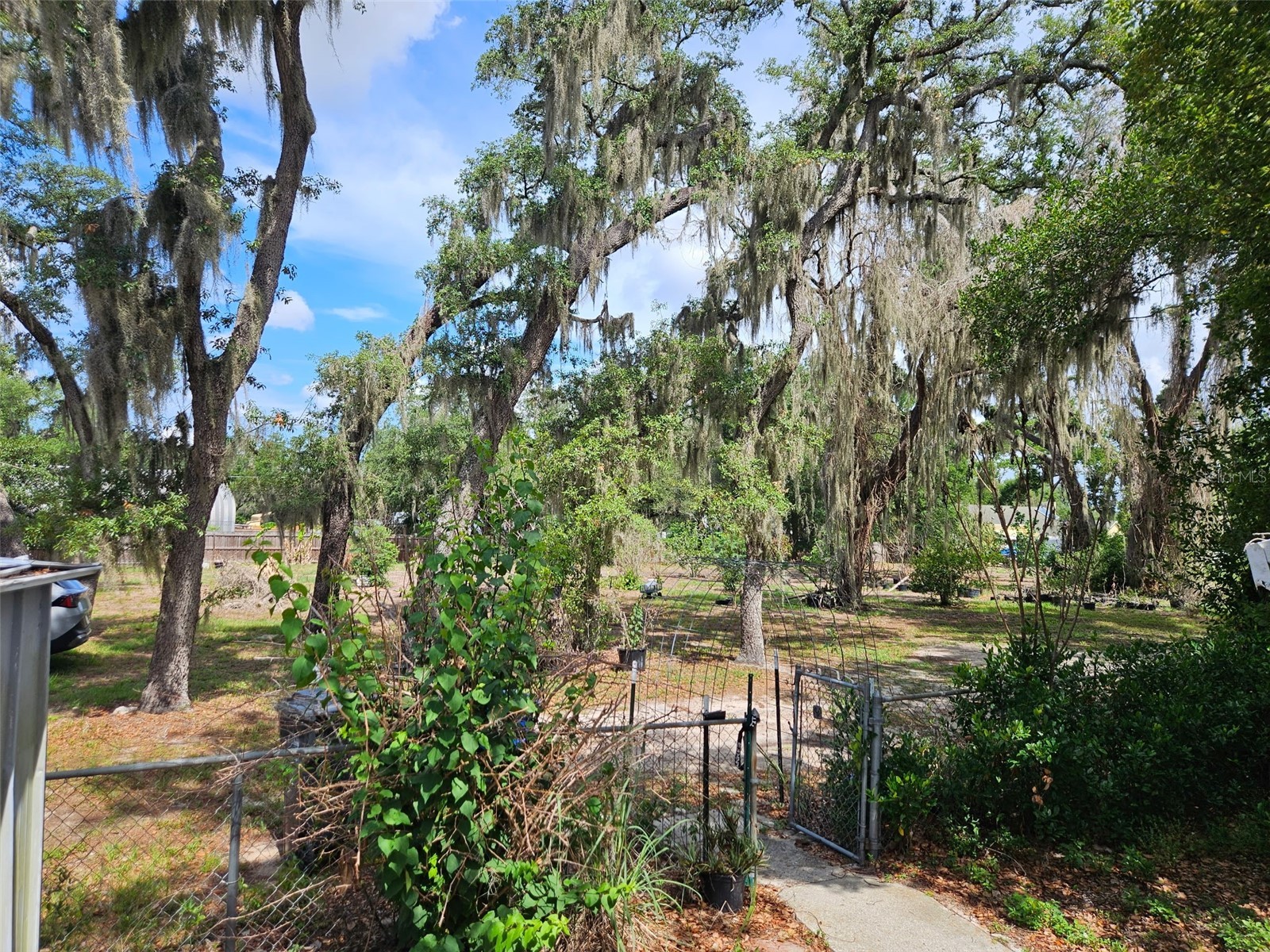 8603 Alafia Ridge Road Riverview FL 33569 TB8511880 image7