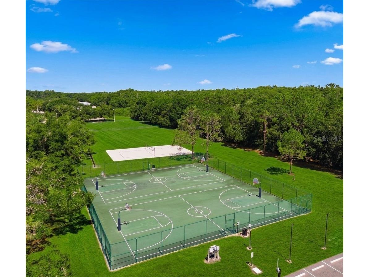 8603 Boysenberry Drive Tampa FL 33635 TB8527049 image19