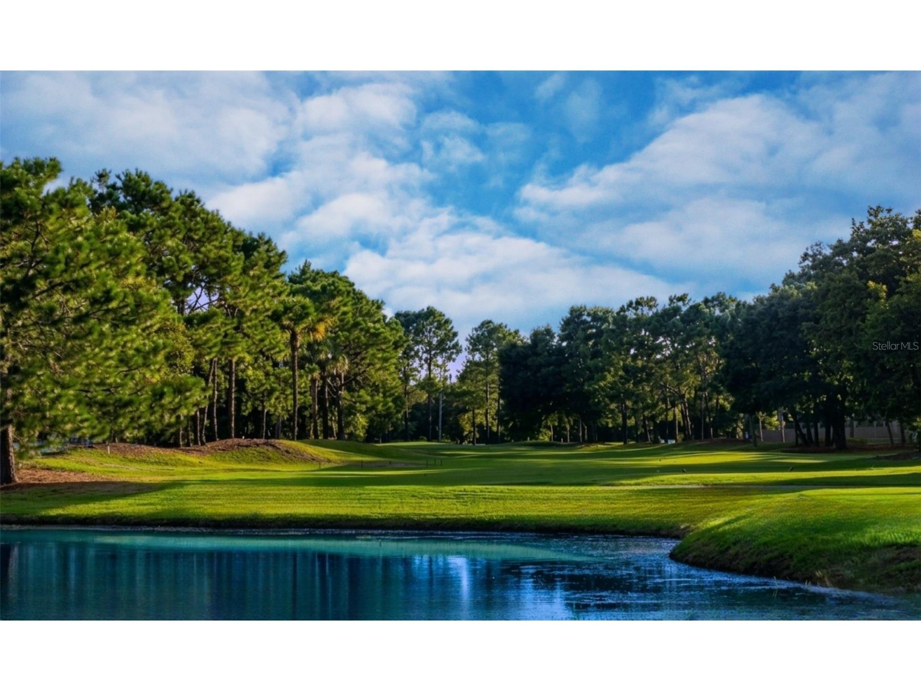 8603 Boysenberry Drive Tampa FL 33635 TB8527049 image20