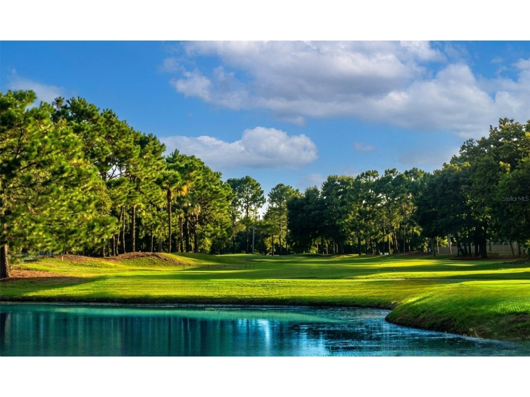 8603 Boysenberry Drive Tampa FL 33635 TB8527049 image22
