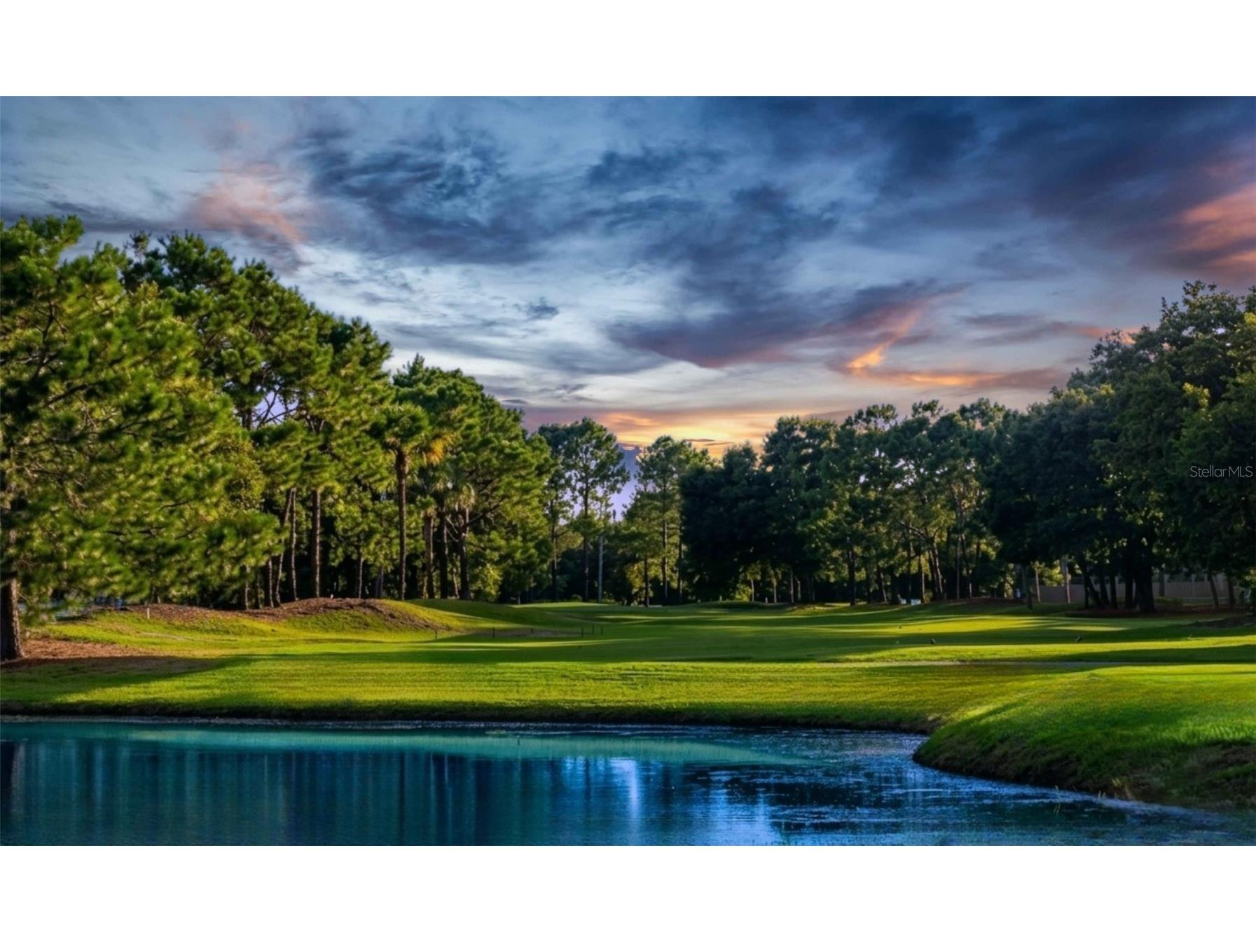 8603 Boysenberry Drive Tampa FL 33635 TB8527049 image23