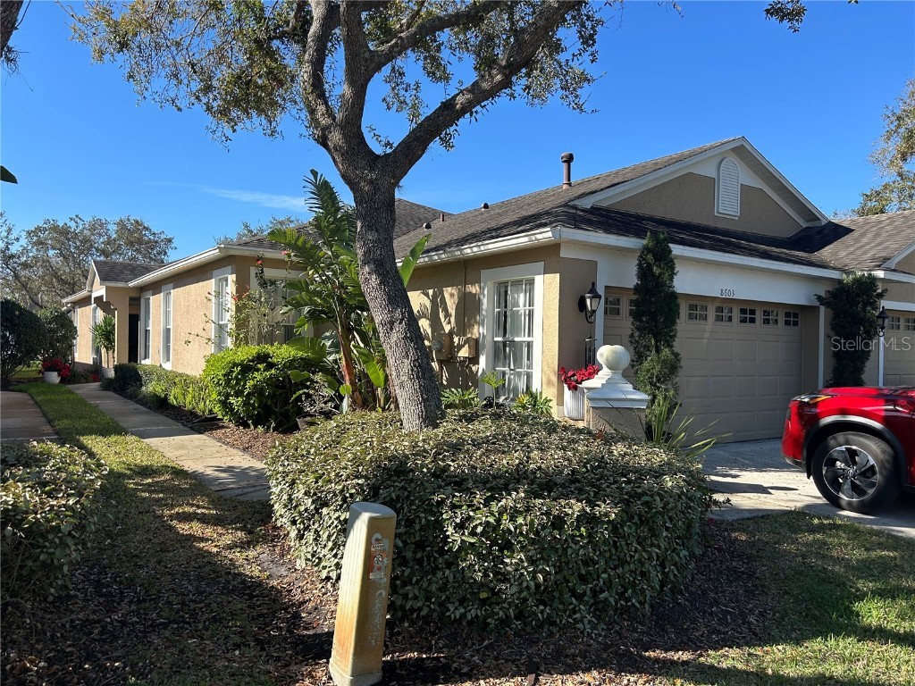 8603 Egret Point Court Tampa FL 33647 TB8357279 image1
