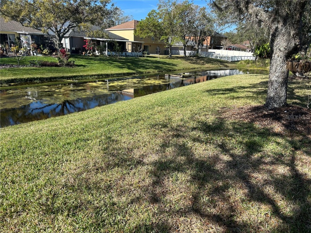 8603 Egret Point Court Tampa FL 33647 TB8357279 image32