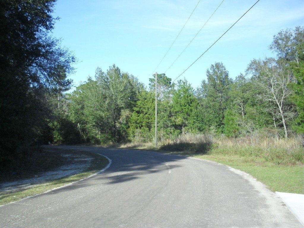 8603 N Tempest Drive Citrus Springs FL 34433 OM670385 image1