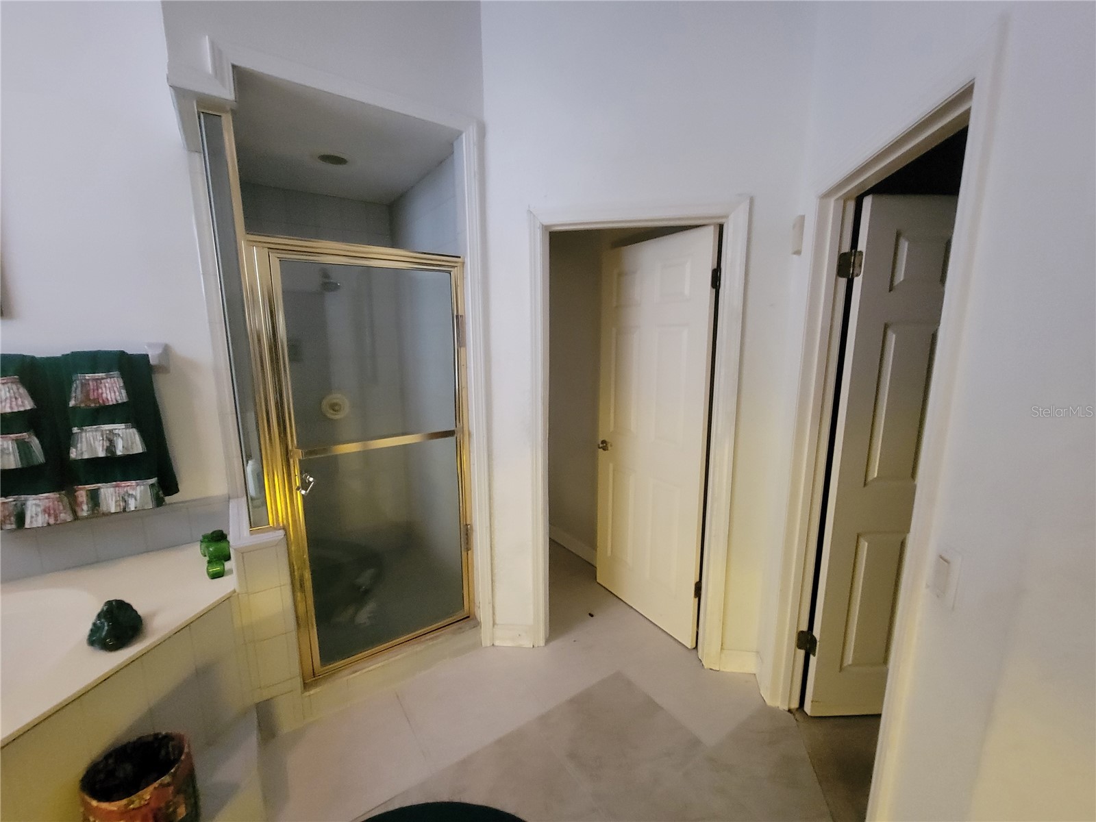 8603 Snowfire Drive Orlando FL 32818 O6318501 image4