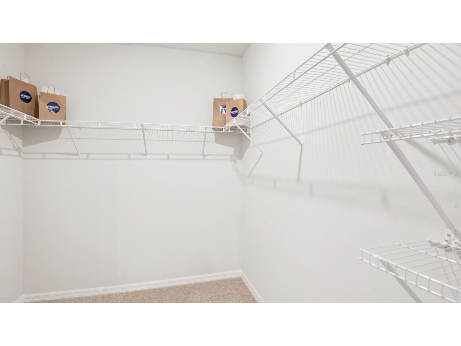 8603 Tidewater Trail Avenue Temple Terrace FL 33637 TB8507873 image30