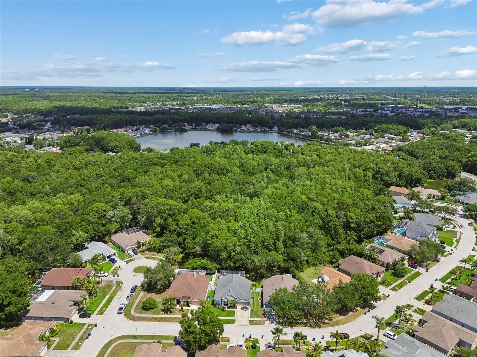 8604 Brookway Circle Tampa FL 33635 TB8512575 image68