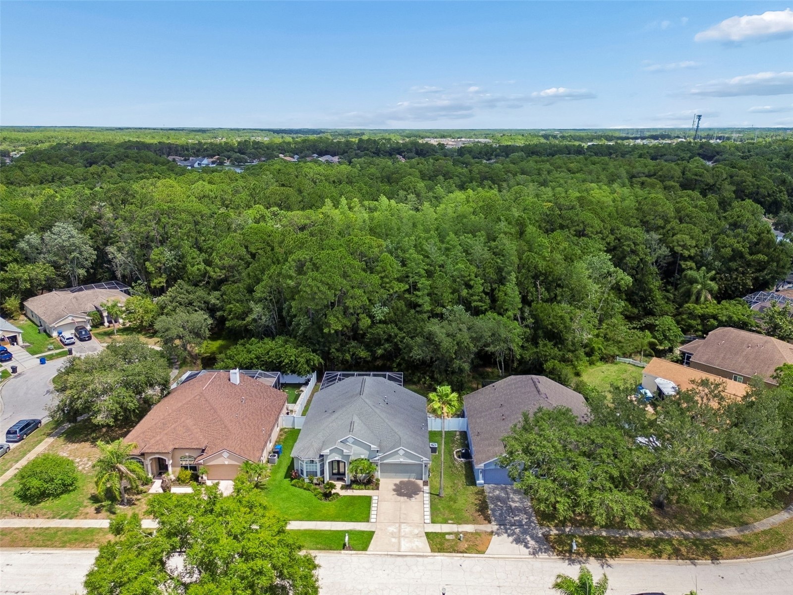 8604 Brookway Circle Tampa FL 33635 TB8512575 image8