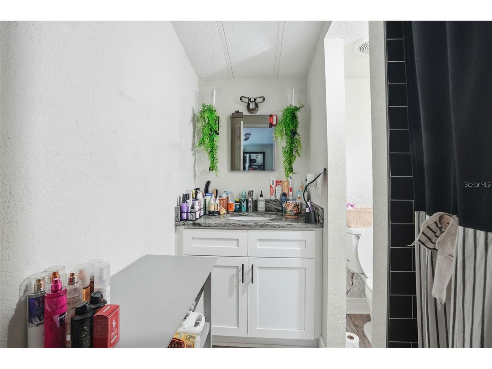 8604 Cameo Drive New Port Richey FL 34654 W7883400 image15