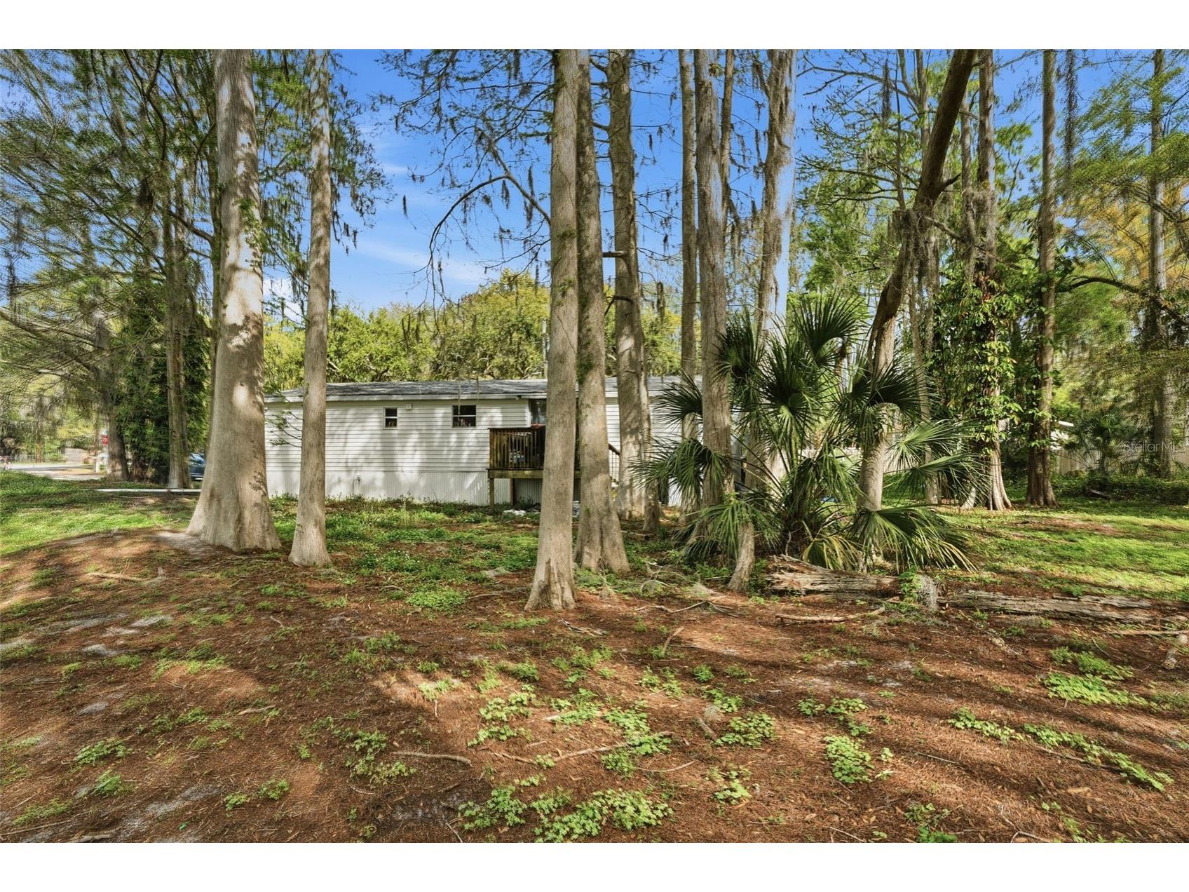 8604 Cameo Drive New Port Richey FL 34654 W7883400 image23