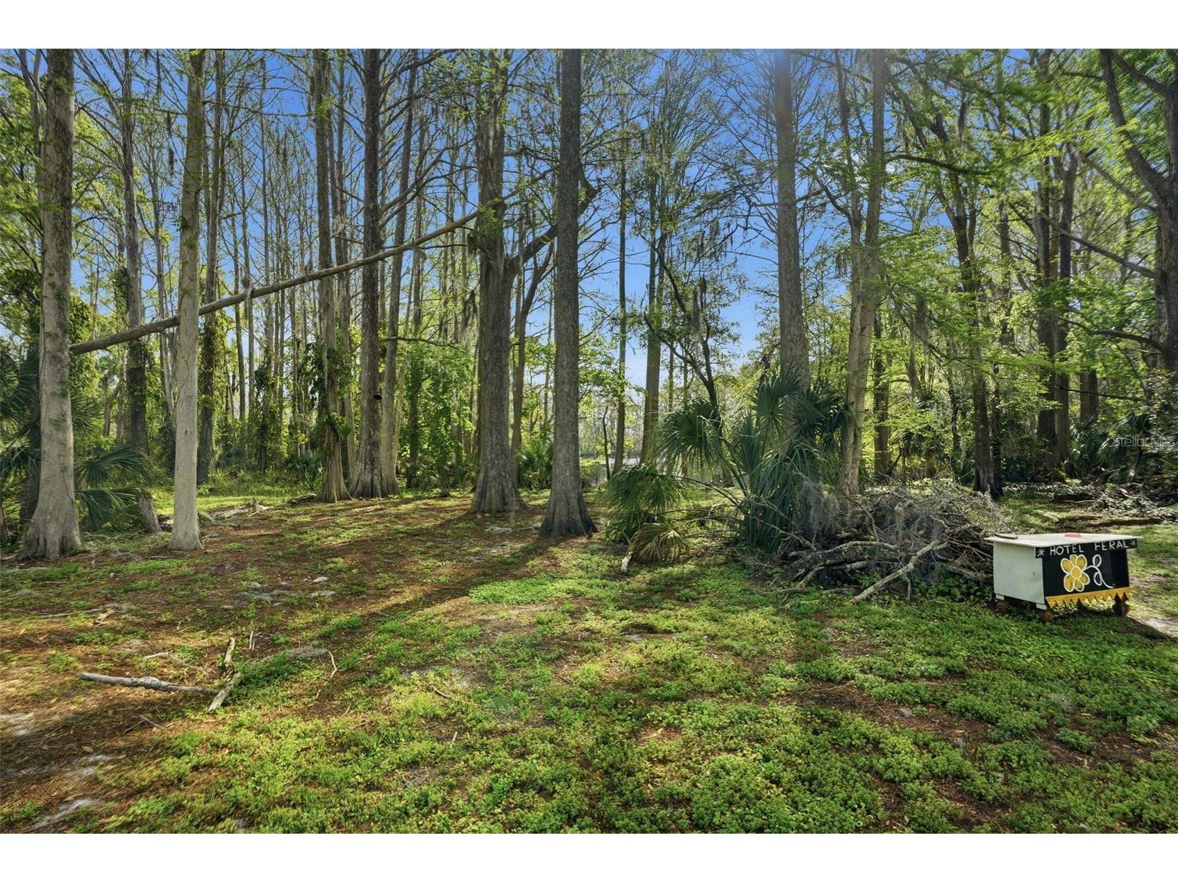 8604 Cameo Drive New Port Richey FL 34654 W7883400 image25