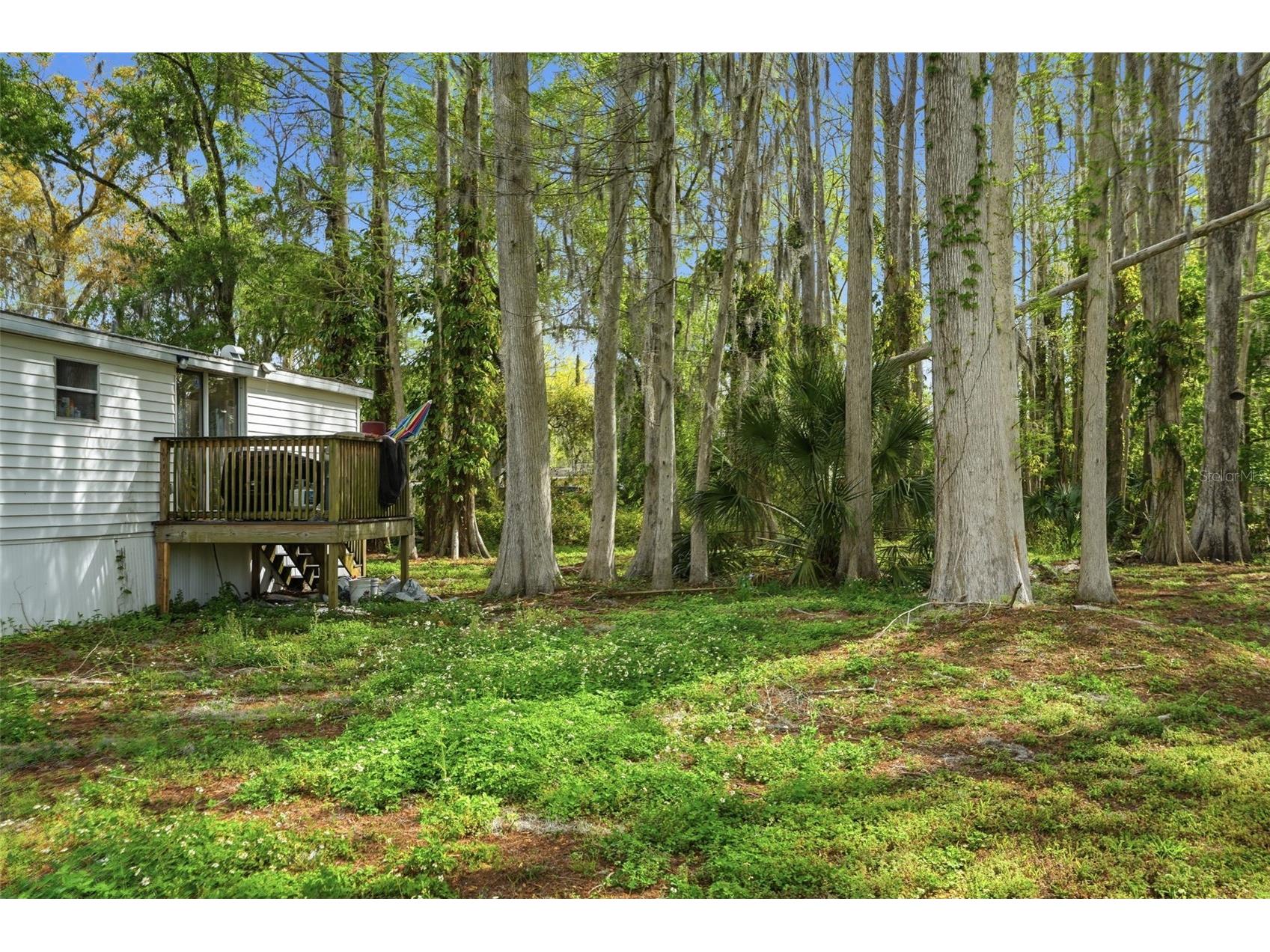 8604 Cameo Drive New Port Richey FL 34654 W7883400 image26