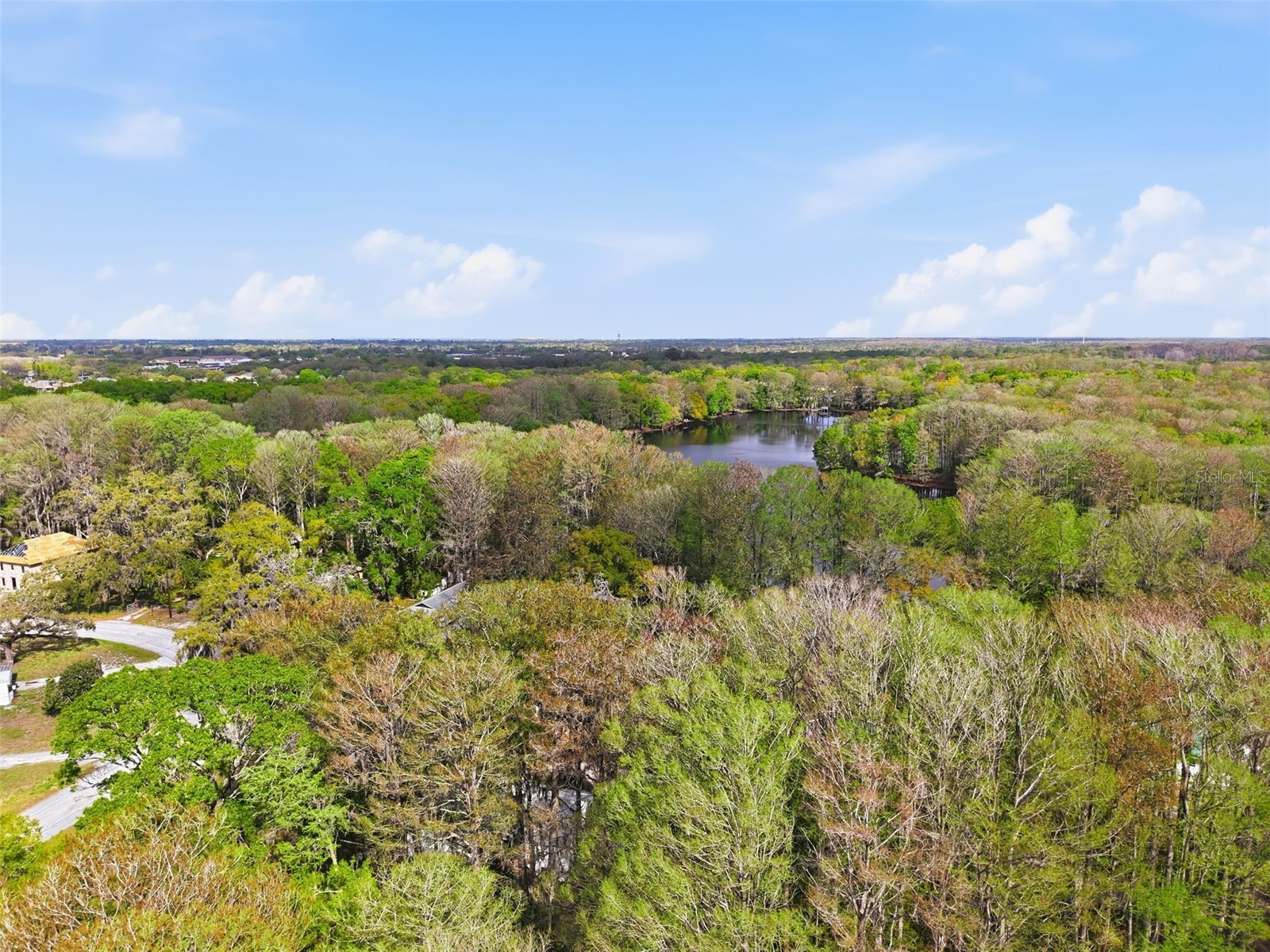 8604 Cameo Drive New Port Richey FL 34654 W7883400 image30