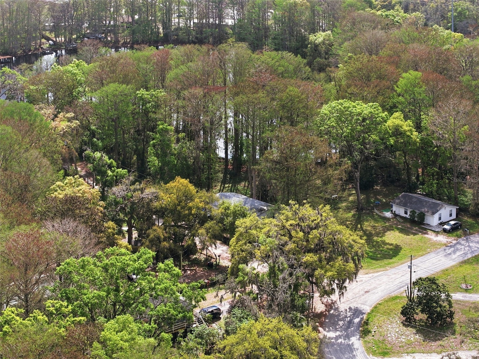 8604 Cameo Drive New Port Richey FL 34654 W7883400 image33