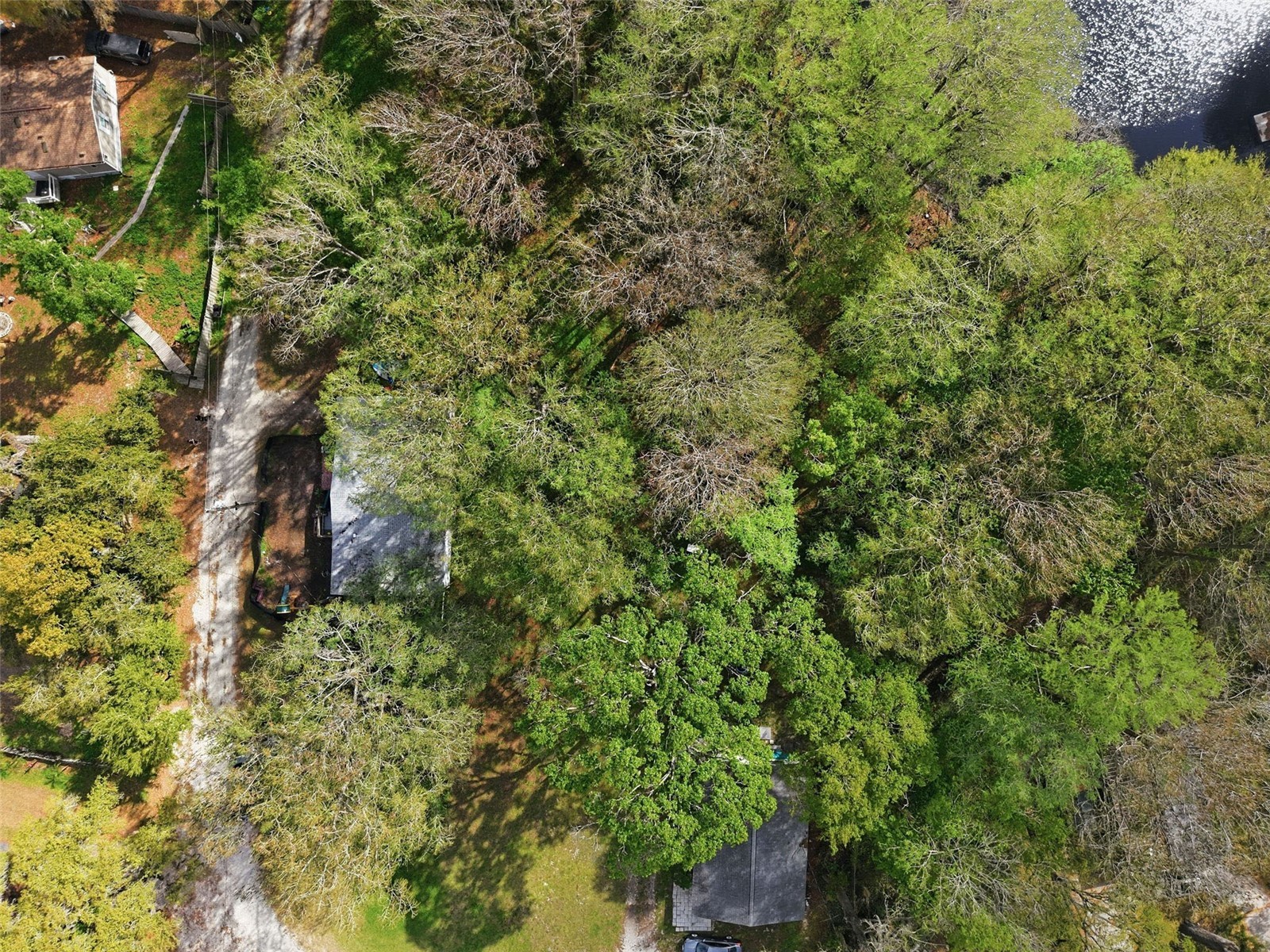 8604 Cameo Drive New Port Richey FL 34654 W7883400 image36