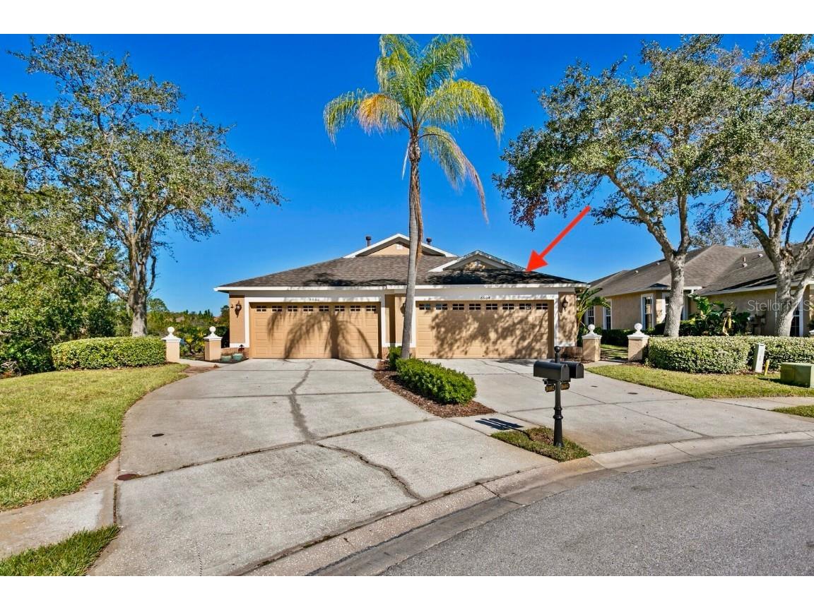 8604 Egret Point Court Tampa FL 33647 TB8321617 image1