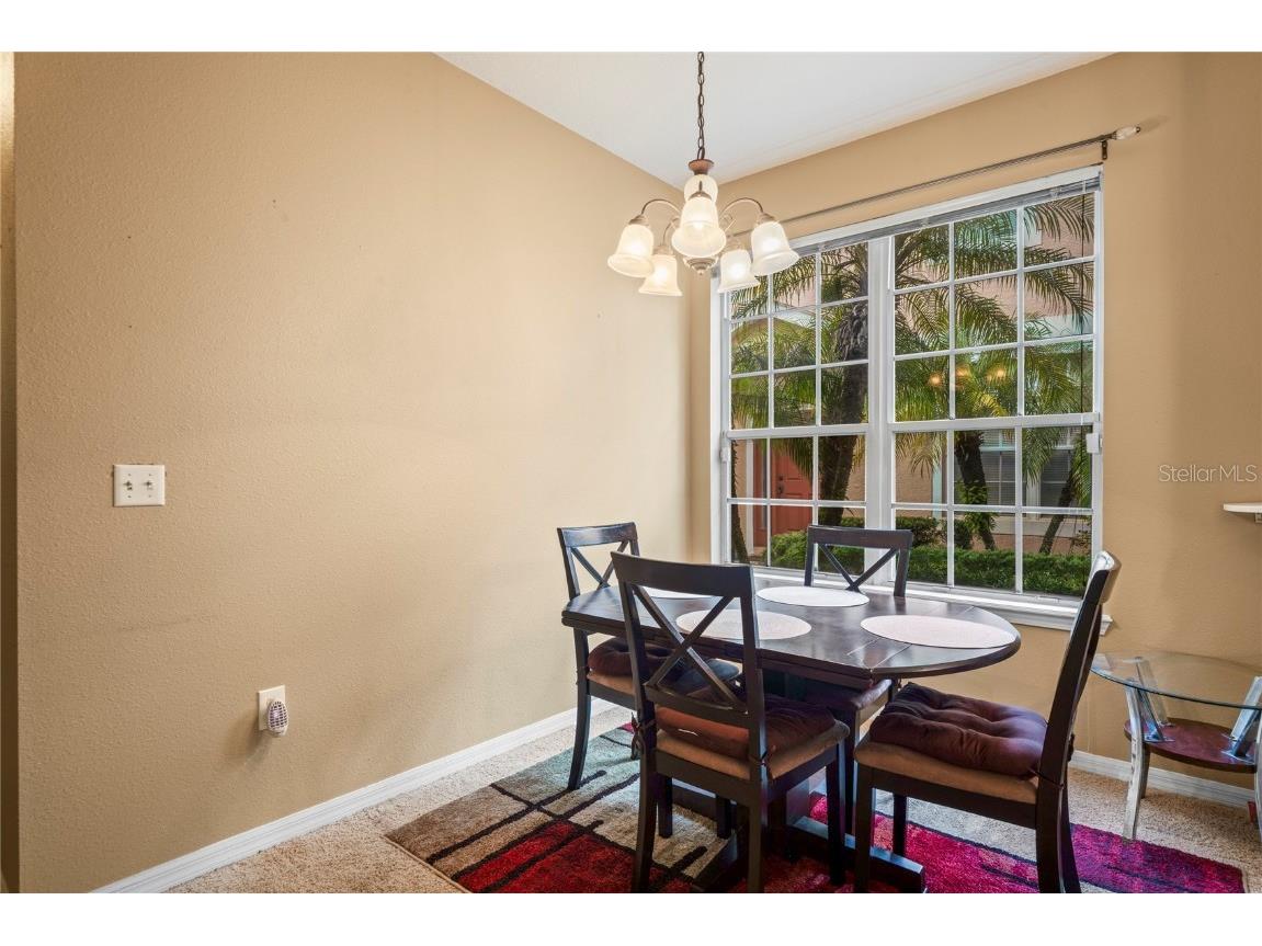 8604 Great Egret Trace New Port Richey FL 34653 TB8411740 image14