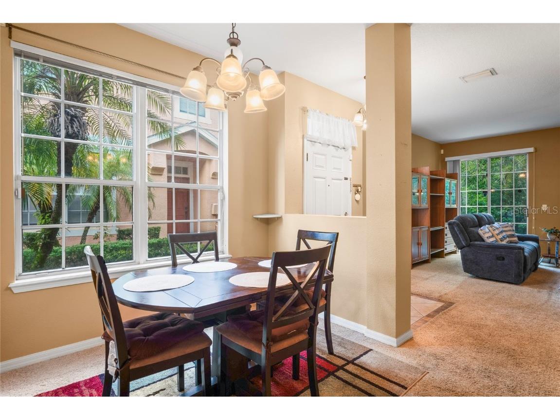 8604 Great Egret Trace New Port Richey FL 34653 TB8411740 image15