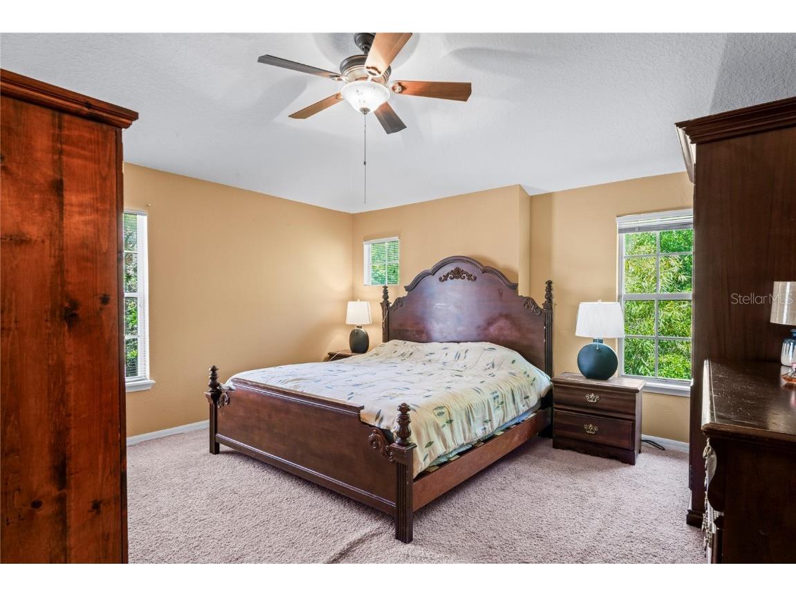 8604 Great Egret Trace New Port Richey FL 34653 TB8411740 image17