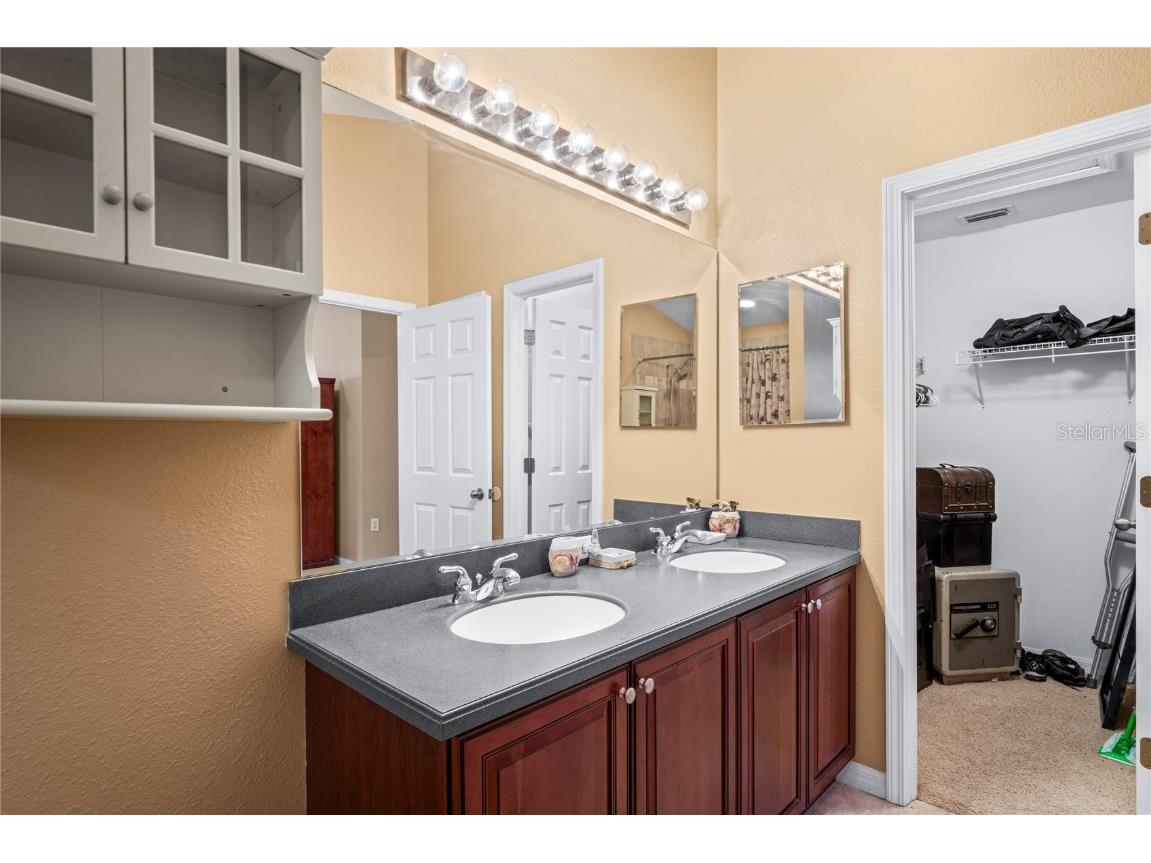 8604 Great Egret Trace New Port Richey FL 34653 TB8411740 image22