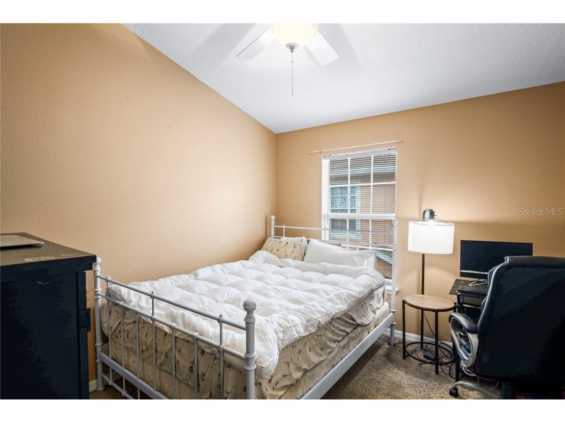 8604 Great Egret Trace New Port Richey FL 34653 TB8411740 image23