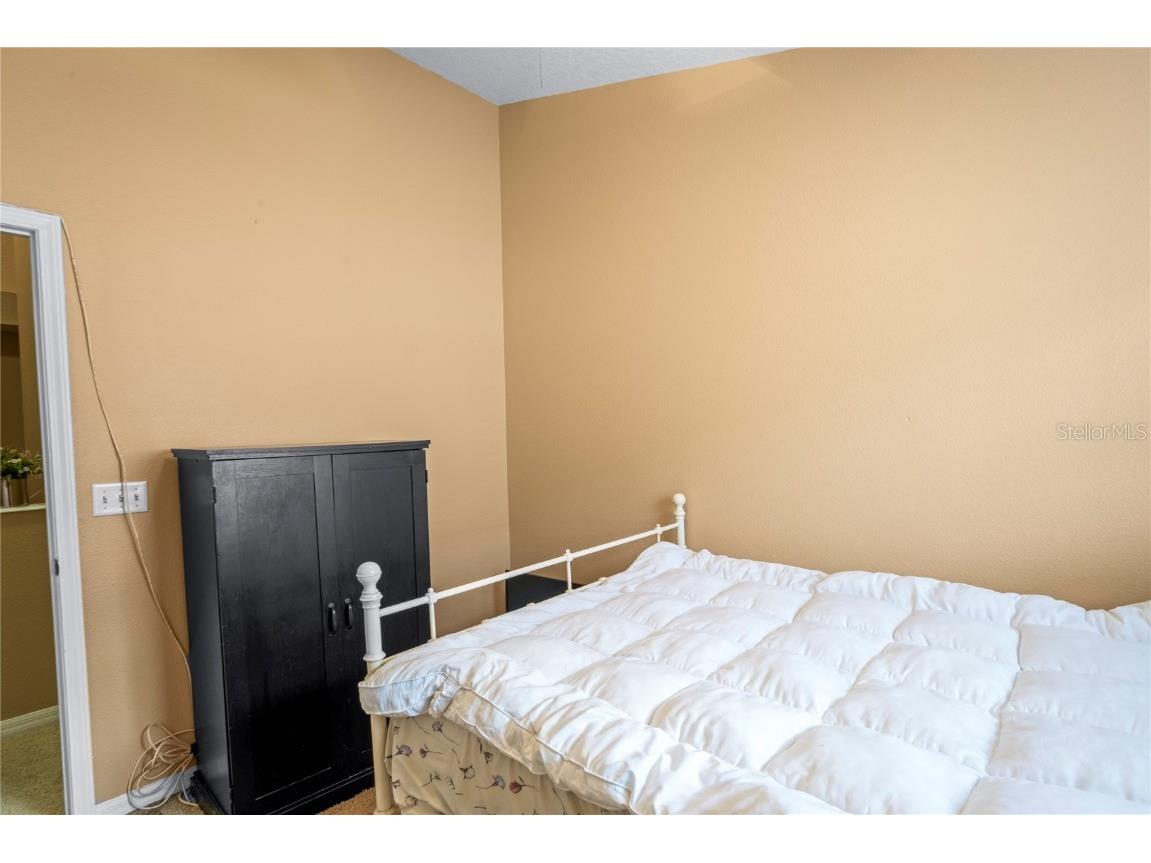 8604 Great Egret Trace New Port Richey FL 34653 TB8411740 image25