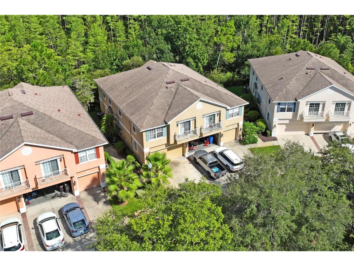 8604 Great Egret Trace New Port Richey FL 34653 TB8411740 image38