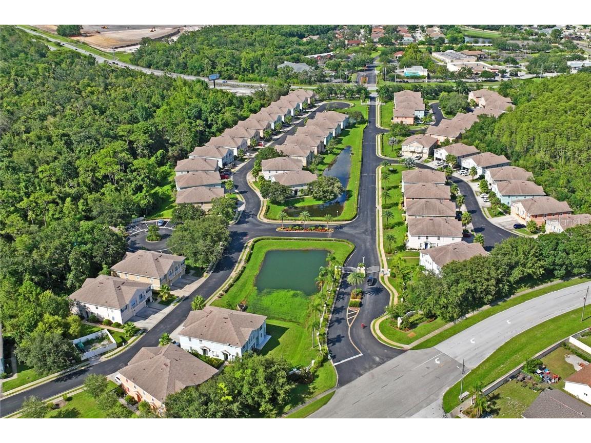 8604 Great Egret Trace New Port Richey FL 34653 TB8411740 image39