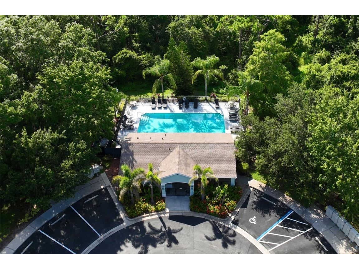 8604 Great Egret Trace New Port Richey FL 34653 TB8411740 image41